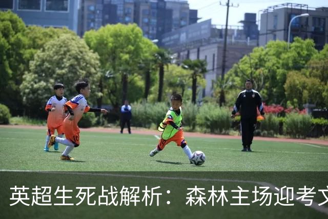 英超生死战解析：森林主场迎考文垂，积分差距下的战术博弈